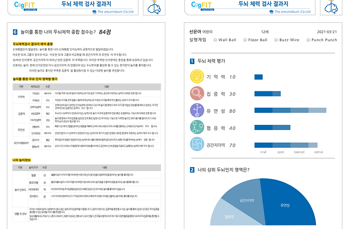 두뇌 체력 종합 분석 리포트